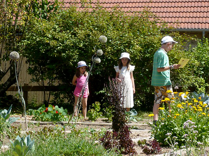 jeu piste enfants cite des insectes