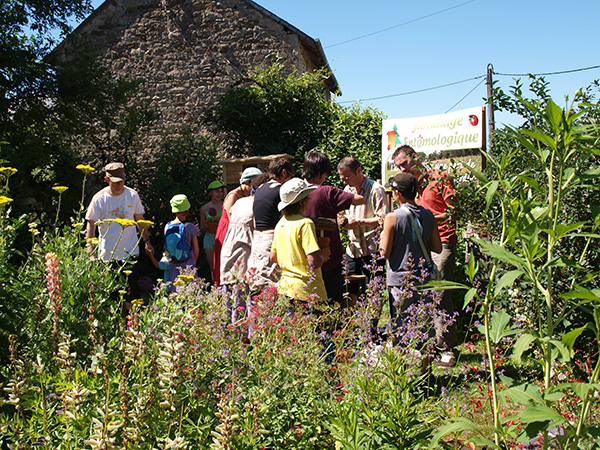 cite insectes jardin animation