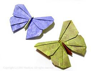 cite insectes papillon papier