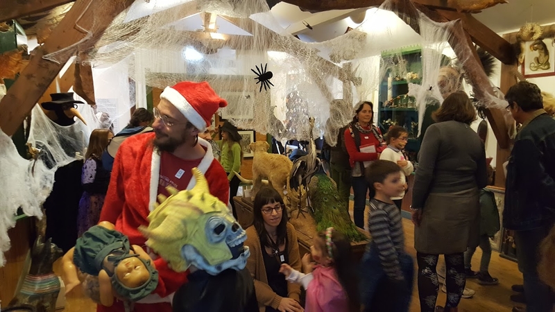 cite des insectes nedde Halloween 2017