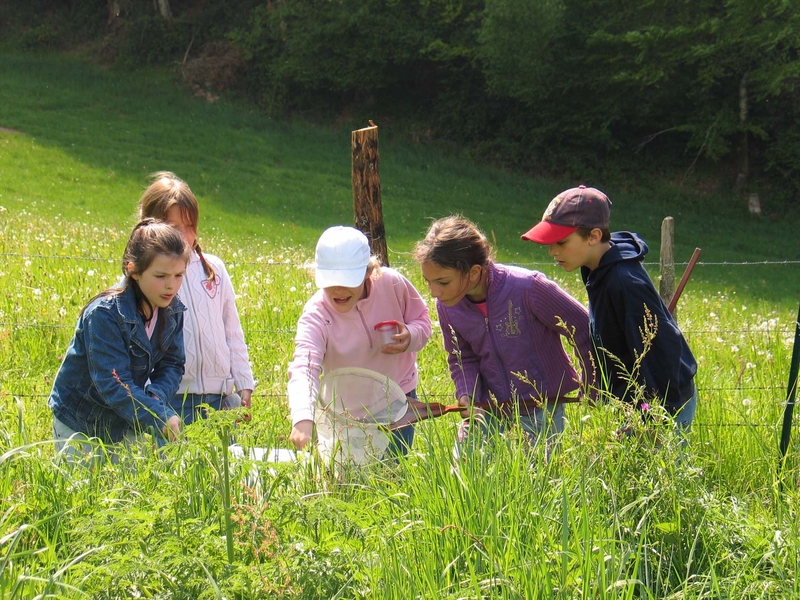 cite des insectes nedde enfants filets