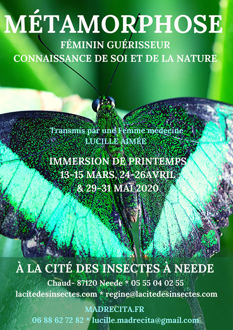 stage cite des insectes nedde Feminin Guerisseur Connaissance de soi et de la nature