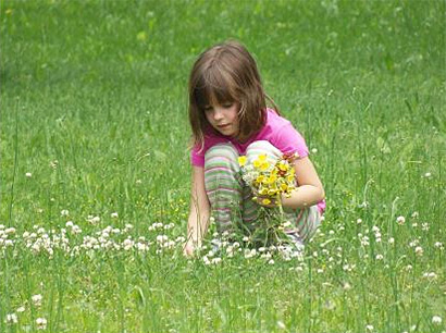 animation jeune public cite des insectes nedde tresors comestibles enfant