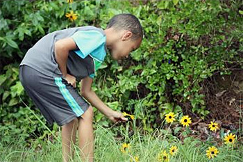 animation jeune public cite des insectes nedde tresors comestibles garcon