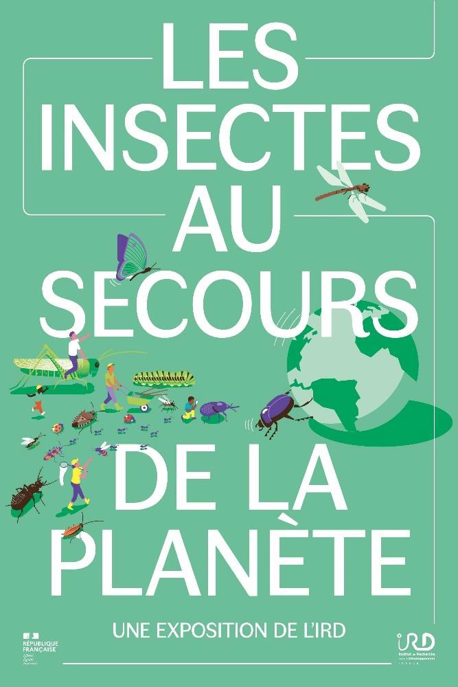 exposition cite des insectes nedde Les Insectes au secours de la planete