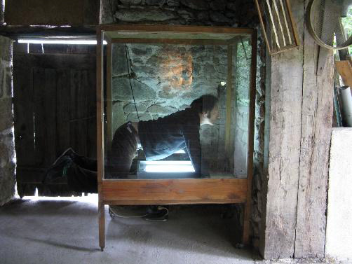 cite des insectes nedde Collectif mmmmm performance 2010