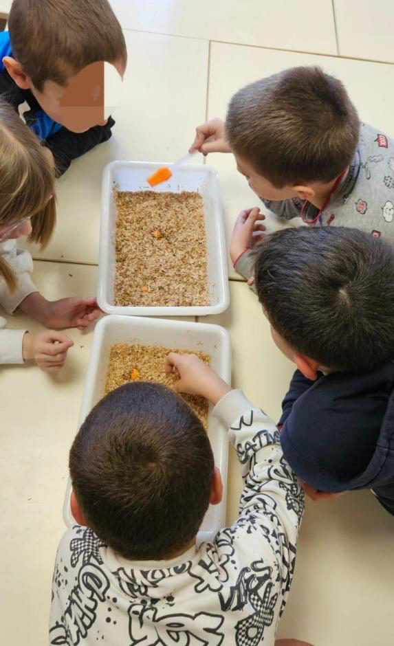 cite des insectes nedde Melanie Bardet en animation 2