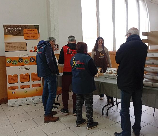 cite des insectes nedde Melanie Bardet en animation 3