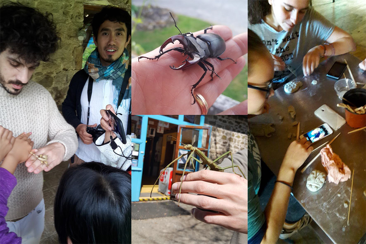 cite des insectes nedde Nuit des Musees sous le signe de l Odyssee Créative