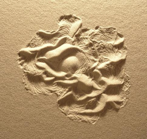 cite des insectes nedde Patrick Bleuzen en residence 2026