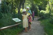 jardin-naturel-avec-public