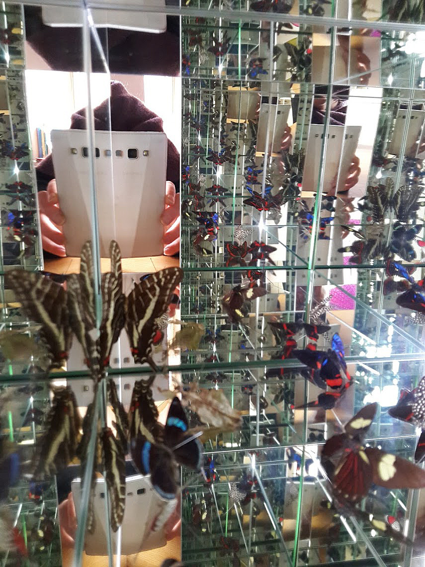 Accueil La cité des insectes à Nedde (87) musée des insectes dans