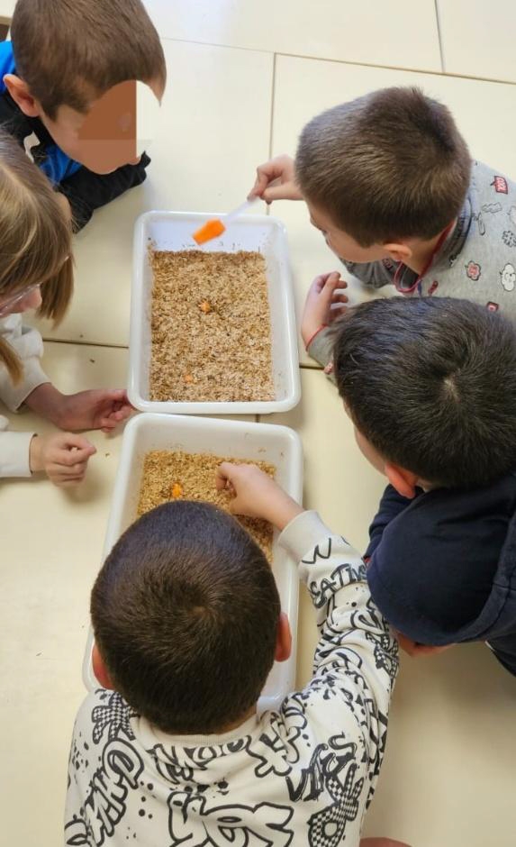 cite-des-insectes_nedde_Melanie-Bardet-en-animation-2