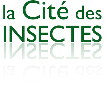 La Cité des Insectes