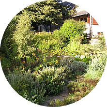 rond-jardin.jpg