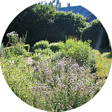 rond-jardin2.jpg